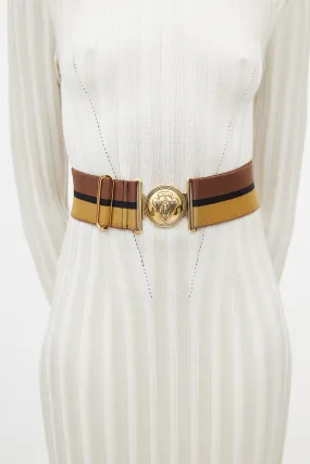 Brown & Multicolour Webbed Striped Belt
