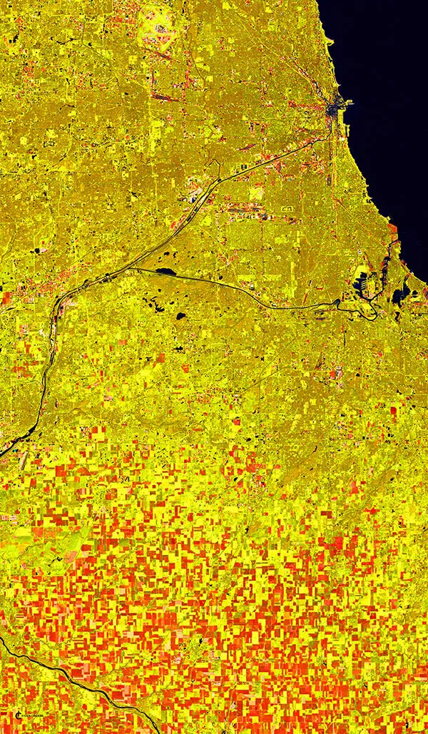 Chicago Gold Rectangular Satin Scarf